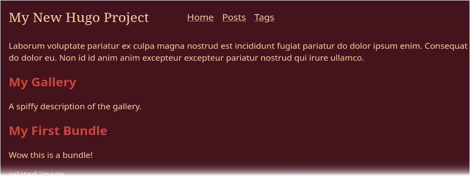 no galleries section in menu